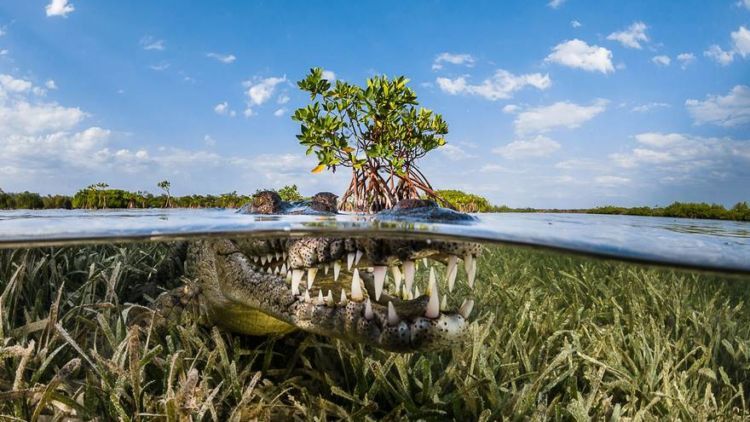 Serunya 15 Foto Travel Terbaik dari Siena International Photo Awards Ini. Kualitas Fotonya Tak Tertandingi!