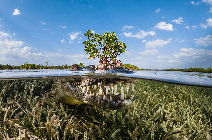 Serunya 15 Foto Travel Terbaik dari Siena International Photo Awards Ini. Kualitas Fotonya Tak Tertandingi!