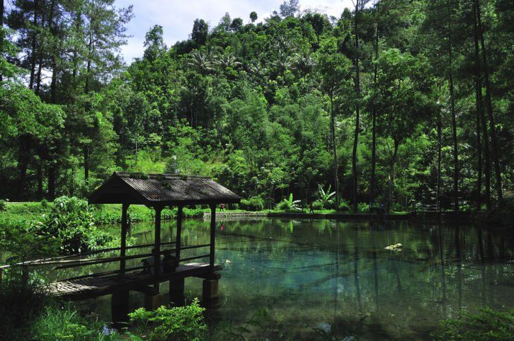 Sejarah Wisata Rambut Monte, Blitar