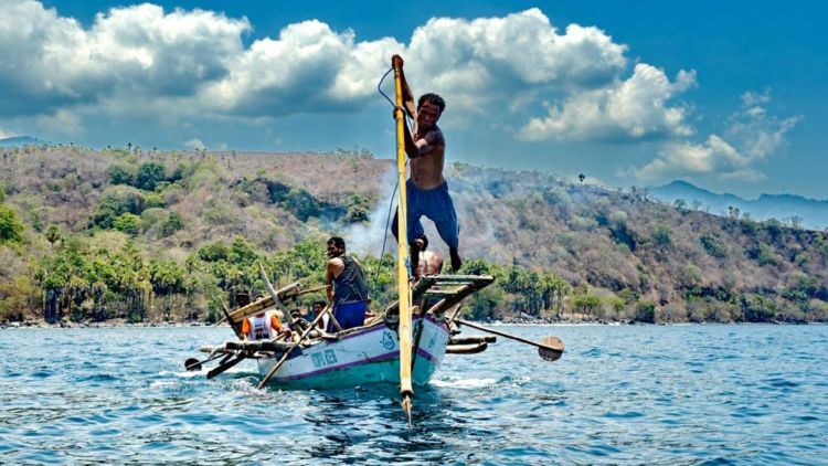 Tradisi Berburu Paus di Lamalera, NTT Menuai Pro-Kontra. Ritual Berbahaya yang Hingga Kini Masih Dijaga