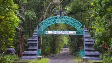 Menelisik Keangkeran Alas Purwo, Banyuwangi. Hutan yang Jadi Tempat Kumpul Makhluk Gaib se Jawa!