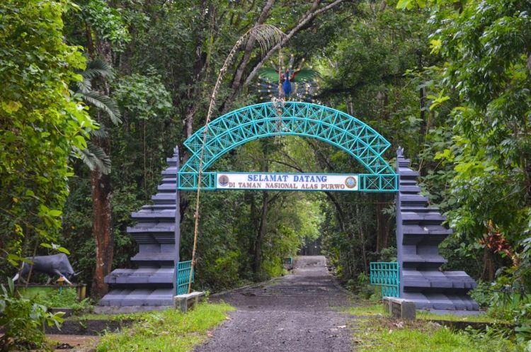 Jadi tempat berkumpulnya dedemit se-pulau Jawa