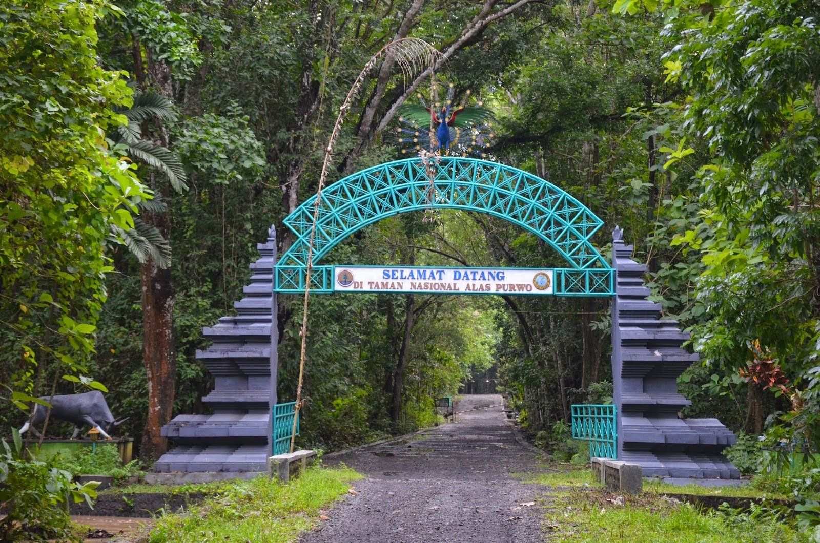 Menelisik Keangkeran Alas Purwo, Banyuwangi. Hutan yang Jadi Tempat Kumpul Makhluk Gaib se Jawa!