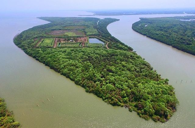 Wow, Ada Pulau Muncul Setelah Bencana Lumpur Lapindo. Tempat Indah Ini Bernama Pulau Sarinah!