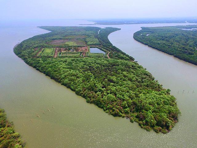 Ini nih pulau Sarinah