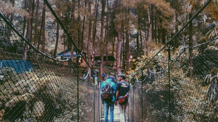 Suaka Elang Loji, Destinasi Instagrammable di Bogor yang Harus Jadi Tujuan Liburan di Akhir Tahun!