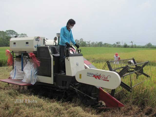 ketika fungi manusia perlahan digantikan mesin