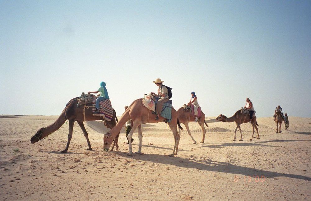 Bosan Traveling ke Situ-situ Aja? Gurun Sahara Wajib Jadi Destinasi Traveling Berikutnya!