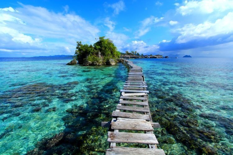 tanpa snorkelingpun, kamu bisa menikmati ikan ikan dengan mata telanjang