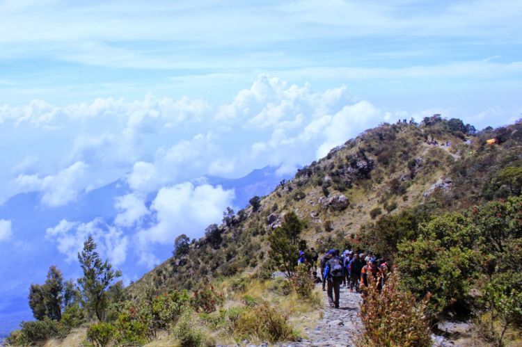 jalur pendakian Gunung Lawu