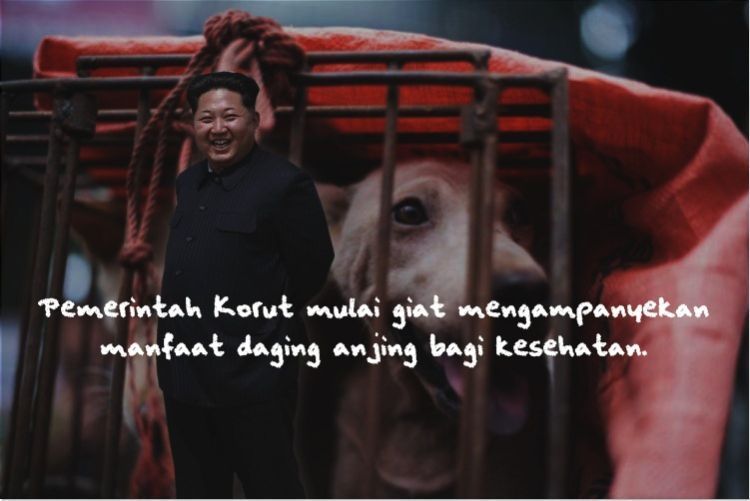 Propaganda bahwa daging anjing itu baik untuk kesehatan.