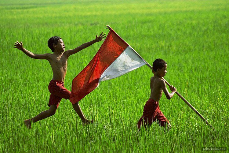 Indonesia Adalah Negara Agraris yang Terancam. Profesi Petani Diperkirakan Akan Punah 50 Tahun Lagi