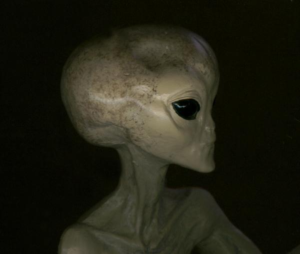 ini model aliennya~