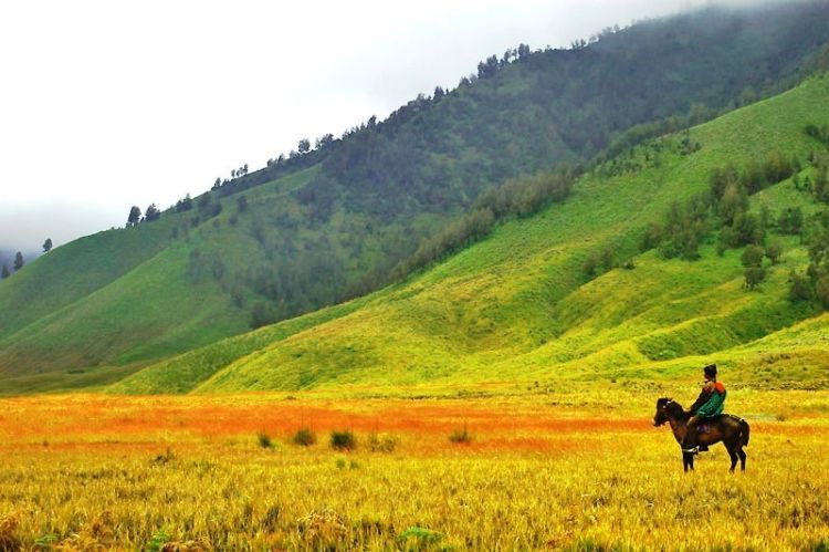 Ada mitos soal pasir hisap di sekitar sini