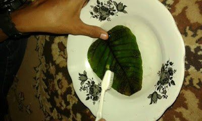 Melepaskan daging daun