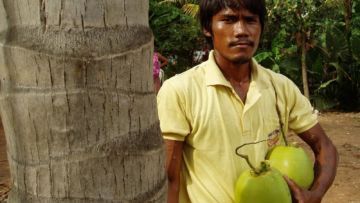 4 Fakta Tentang Air Kelapa dan Kuantitas Sperma. Cowok Wajib Baca Biar Sedikit Paham Kesehatan!