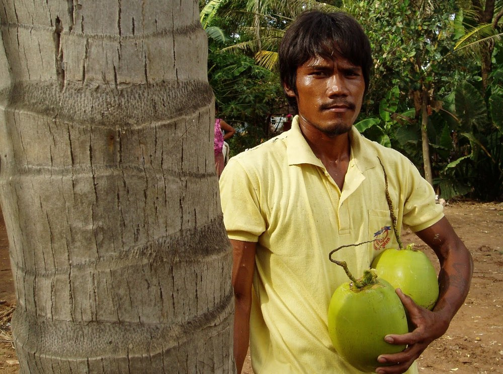 4 Fakta Tentang Air Kelapa dan Kuantitas Sperma. Cowok Wajib Baca Biar Sedikit Paham Kesehatan!