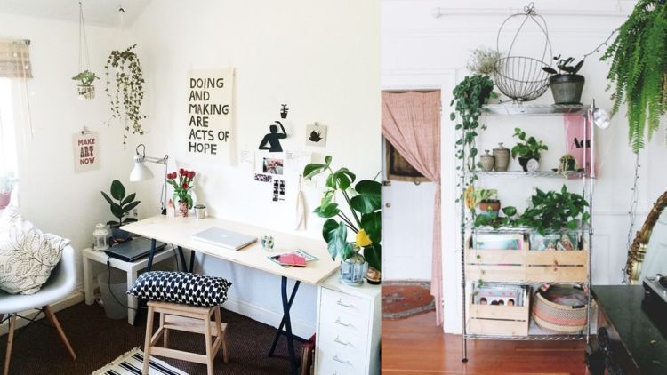 12 Inspirasi Indoor Plant yang Praktis untuk Rumah Sempit 