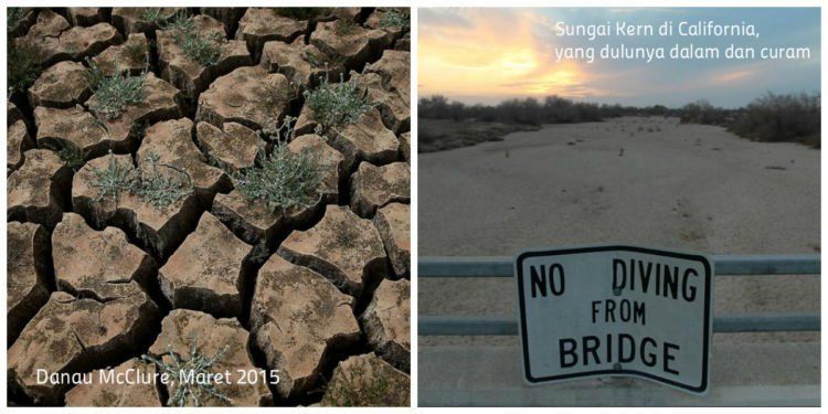 Kekeringan melanda California sejak tahun 2014