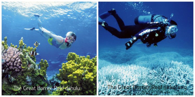 Kondisi The Great Barrier Reef yang sudah jauh berbeda