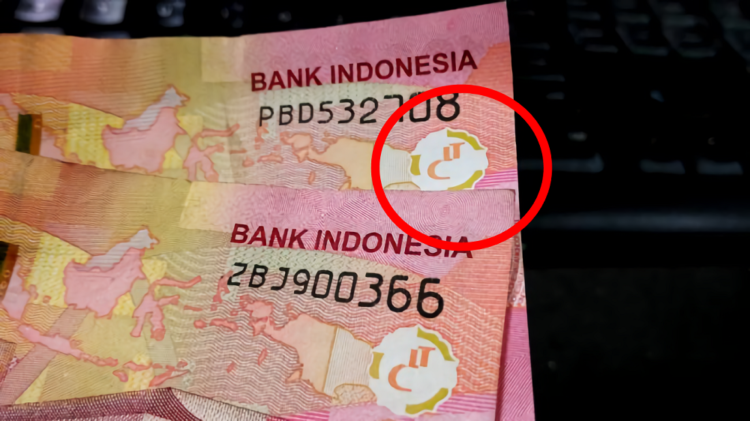 gambar rectoverso yang diributkan