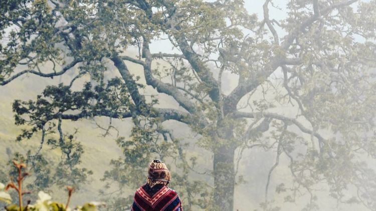 Astaga, Tiga Peri Itu Mengikutiku Sepanjang Turun dari Rinjani…