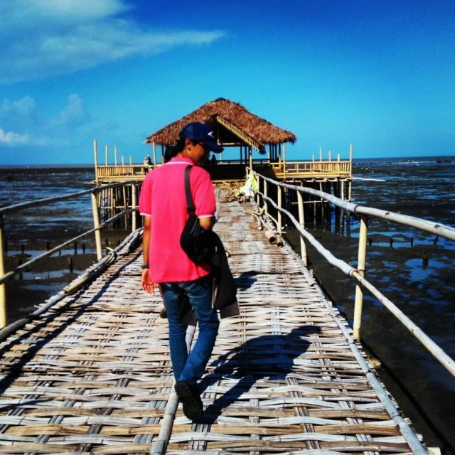 hutan mangrove 