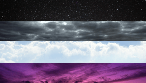 Asexual flag