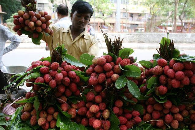 Selama 10 Tahun Lamanya, Ratusan Anak India Mati Secara Misterius. Ternyata Buah Ini Biang Keroknya