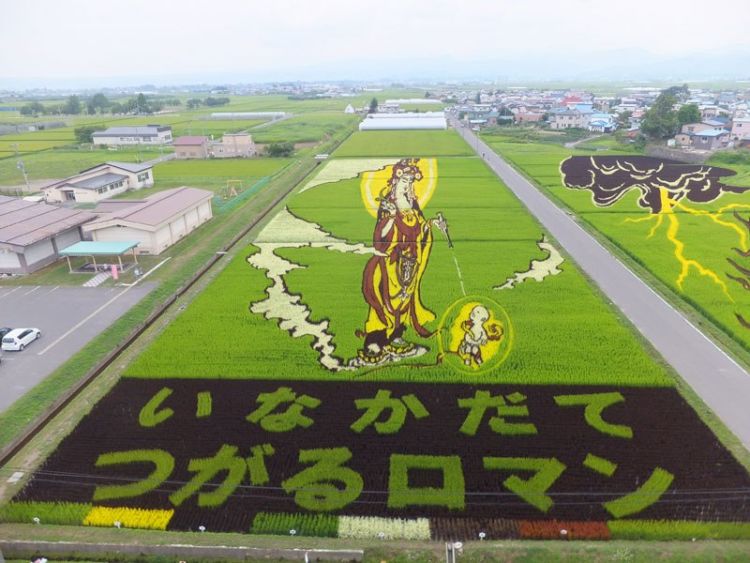 10 Seni Melukis Sawah di Jepang Ini Memang Luar Biasa, Bukan Dicat Apalagi Dibakar Lho