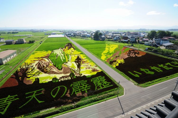 10 Seni Melukis Sawah di Jepang Ini Memang Luar Biasa, Bukan Dicat Apalagi Dibakar Lho