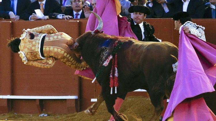 Pantatnya Diseruduk Banteng Hingga Duburnya Hancur, Kok Masih Ada Aja Ya yang Mau Jadi Matador?!