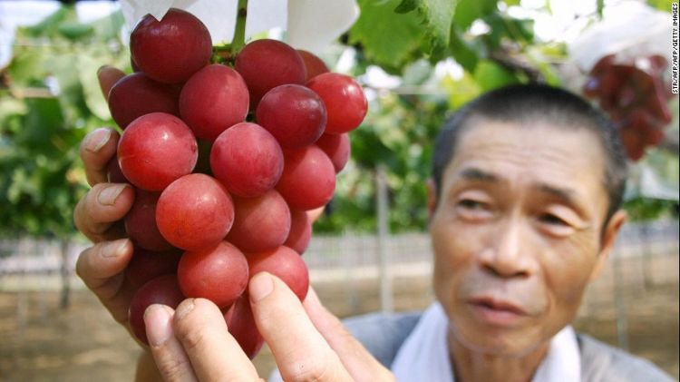 Melon Dijual Rp 350 Juta dan Satu Strawberi Sampai Rp 57 Juta. Buah-buah Di Jepang Ini Mahal Gila