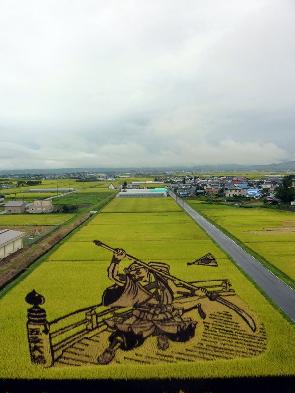 10 Seni Melukis Sawah di Jepang Ini Memang Luar Biasa, Bukan Dicat Apalagi Dibakar Lho