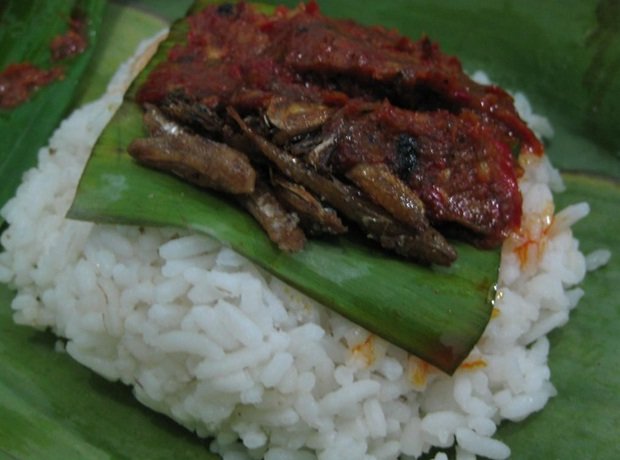 nasi kucing