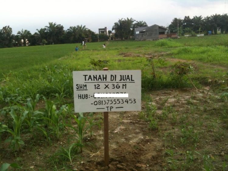 Harga Tanah-Rumah Tak Lagi Manusiawi, Rumah Mungil Bakal Jadi Rumah yang Realistis di Generasi Kita