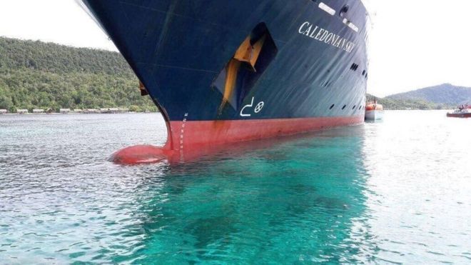 Masih Berkabung dari Rusaknya Karang Raja Ampat, Ternyata Great Barrier Reef Australia Juga Sekarat