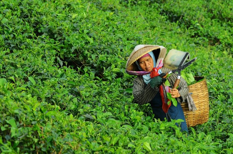 Saat Gagal, 10 Potret Kehidupan ini Perlu Kamu Lihat Biar Tetap Semangat