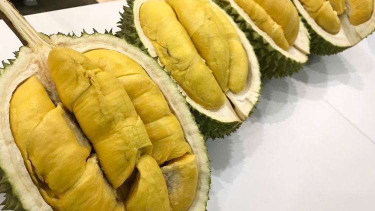 7 Manfaat Istimewa Buah Durian Buat Kesehatan. Memang Yah, Makanan Satu Ini Memang Endheus Banget!