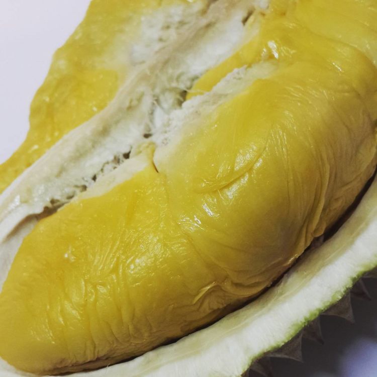 7 Manfaat Istimewa Buah Durian Buat Kesehatan. Memang Yah, Makanan Satu Ini Memang Endheus Banget!