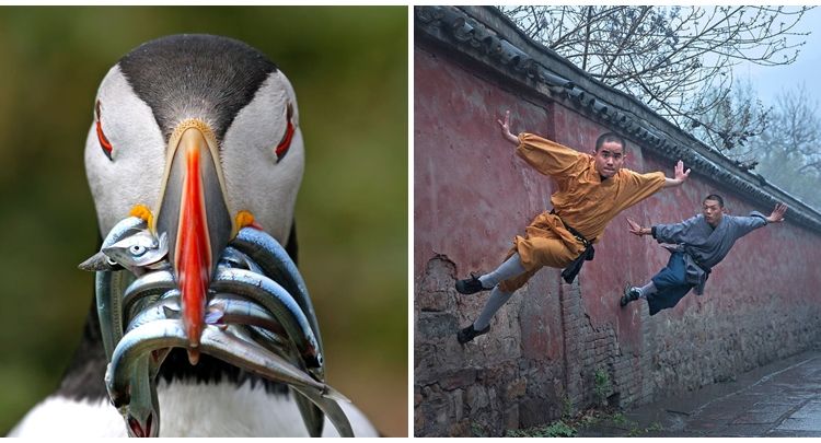 15 Foto Terbaik dari Sony Photography Awards yang Kerennya Kebangetan. Kamu Perlu Belajar Dari Karya Mereka!