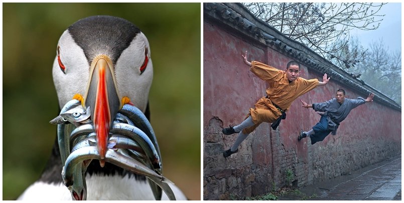 15 Foto Terbaik dari Sony Photography Awards yang Kerennya Kebangetan. Kamu Perlu Belajar Dari Karya Mereka!