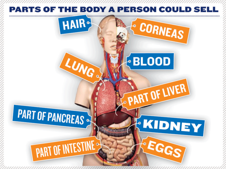 Jual Beli Organ Makin Marak, Termasuk di Indonesia. Biar Waspada, Ini 4 Hal yang Harus Kamu Tahu