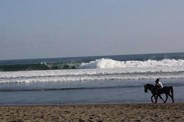 Pantai Petanahan