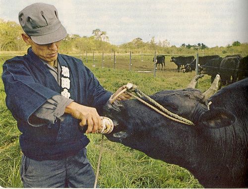 Daging Sapi Seharga Rp4,2 Juta Sekilo Bukan Fiksi. Ini Alasan Kenapa Kobe Beef Dihargai Semahal Itu