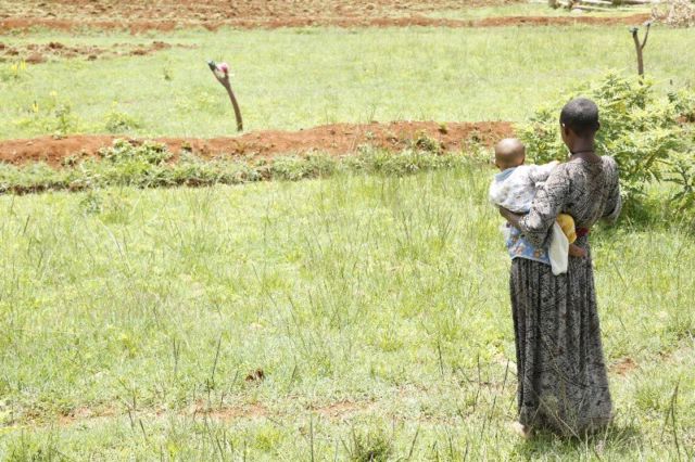 Miris! Menikah Umur 3 Tahun, Cerai Umur 7 Tahun. Inilah Cerita Tragis tentang Pernikahan Anak-anak