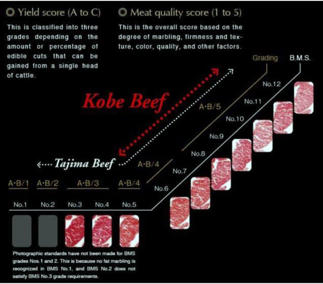 Daging Sapi Seharga Rp4,2 Juta Sekilo Bukan Fiksi. Ini Alasan Kenapa Kobe Beef Dihargai Semahal Itu