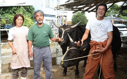 Daging Sapi Seharga Rp4,2 Juta Sekilo Bukan Fiksi. Ini Alasan Kenapa Kobe Beef Dihargai Semahal Itu