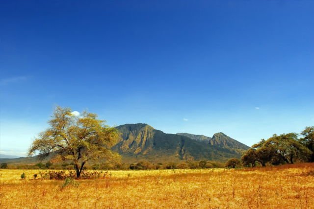 Padang Savana di Baluran