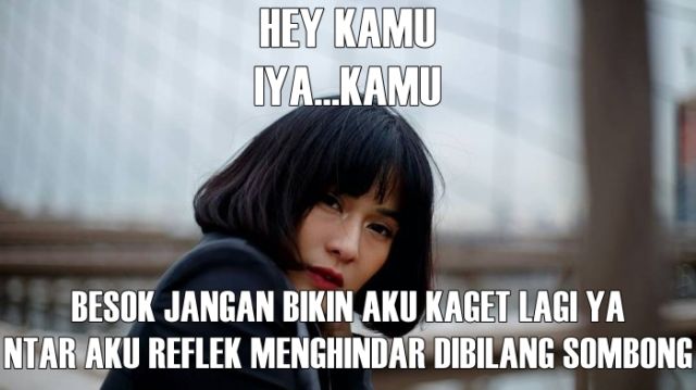 11 Meme ‘Pukpuk’ untuk Dian Sastro, Semoga Bisa Bikin Maaf-Maafan dengan Fans